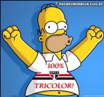 HomerTricolor