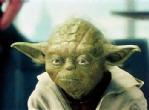 mestreyoda